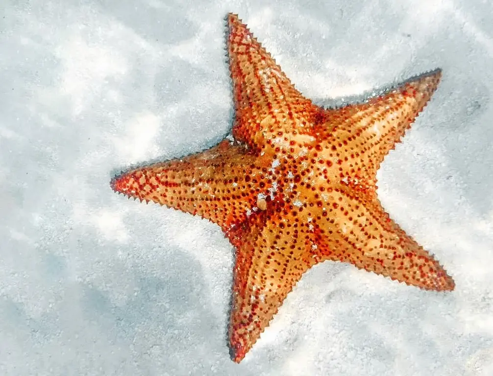 gorgeous piscina natural scenery perfect for pictures gorgeous piscina natural scenery perfect for pictures